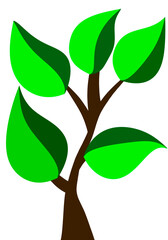 Infographic Tree With Leaf