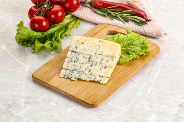 Gourmet blue cheese with mold