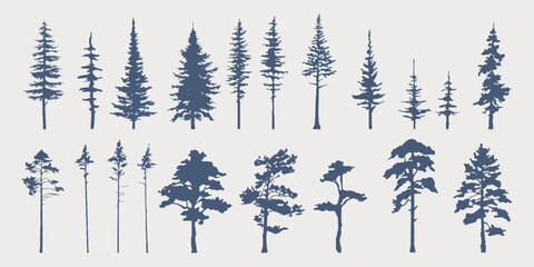 Set of hand drawn vector silhouettes of pine trees. Forest. Vintage trees. Monochrome. Isolared vector trees. © Evgenia Pichkur