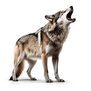 A wolf with its mouth wide open in a forest created with Generative AI technology