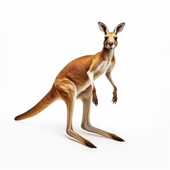 A kangaroo standing upright on its hind legs created with Generative AI technology