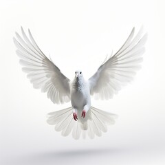 Fototapeta premium A graceful white dove bird in flight created with Generative AI technology