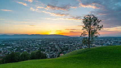Panorama Sonnenuntergang über den Schweizer Bergen im Rheintal, einzelner Baum mit Blick auf Dornbirn, Vorarlberg, Austria. leuchtendes Abendrot, tolle Stimmung mit roten Wolken über den grünen Wiesen