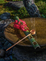 Tsukubai Water Fountain in Japanese Garden in Zuiganzan Enkouji Temple, Kyoto, Japan in autumn. With red maple leaves on the washbasin. - 637397708