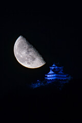 岐阜城と半月