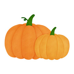pumpkin autumn 
