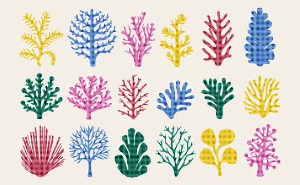 Abstract trendy seaweed, shape aesthetic silhouette.  Set of colorful elements. Vector Illustration