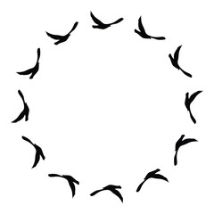 Flying birds silhouettes pattern wallpaper. Vector illustration. isolated bird flying. tattoo design. template for card, package, and wallpaper.