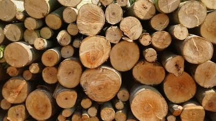 Möbelaufkleber Pile of chopped fire wood © Agoeng