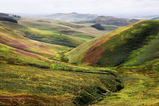 Harthope valley from the Cheviot hills on the border of Northumberland and Scotland.