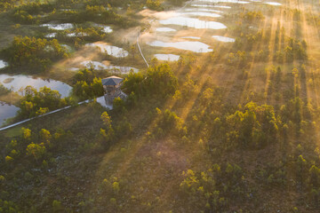 Observation tower in the Viru swamp at sunrise, photo from a drone.