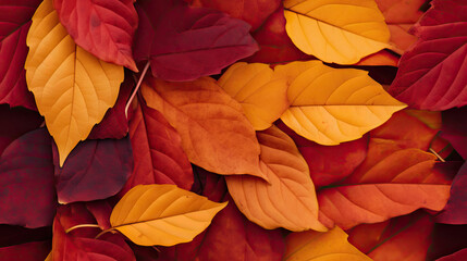 Fototapeta na wymiar Fall Colors and Textures: Vibrant Hues and Intricate Details for Websites and Printing. Seamless tileable pattern. Generative AI.