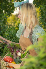 Agriculture and lifestyle concept. Portrait of beautiful and young woman picking up vegetables in garden during warm summer sunset. Model wearing brown apron and placing vegetables in wooden box