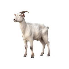 Goat , Illustration, HD, PNG