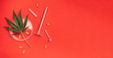 Scientific Celebrations: Embrace the New Year's spirit with cannabis leaf, test tubes, and CBD oil capsules on a dynamic red background , banner