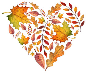 Watercolor Autumn Leaves Heart. Foliage Heart