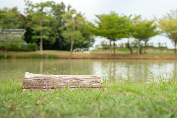 A piece of wooden timber is placed on grass ground as a seating bench at the public park, close to the lake side. Object in nature environment. Selective focus.