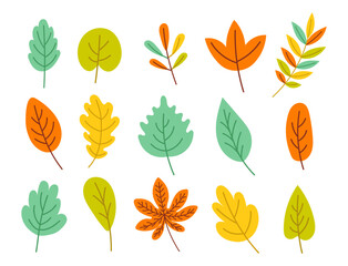 Obraz premium Free vector hand drawn autumn leaves