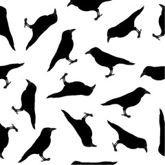 Crow seamless pattern with transparent background. Gothic pattern for Halloween