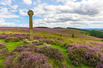 A Millennium Cross, erected by local residents to mark Year 2000 above Rosedale, North Yorkshire Moors, UK, in summer time when the heather is purple and in full bloom.  Copy space.  Horizontal - obrazy, fototapety, plakaty