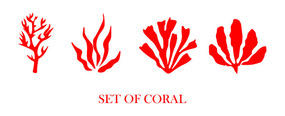 Set of underwater coral reef plants. Coral elements collection.