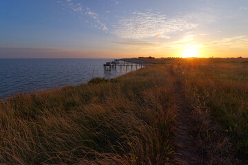 Coastal path of the Perthuis Breton cliffs in Charente Maritime coast	