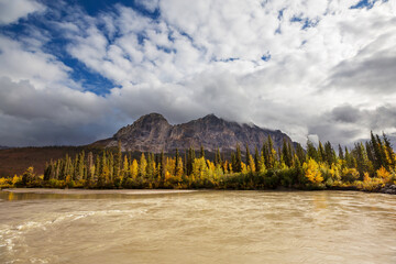 Autumn in polar tundra