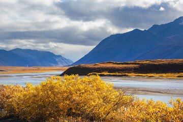 Autumn in polar tundra
