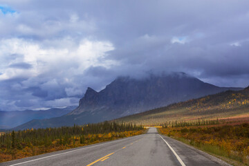 Autumn in polar tundra
