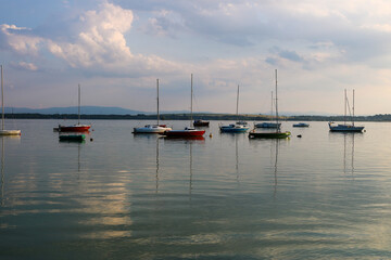 boats in the marina