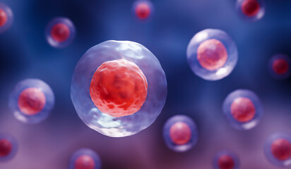 Stem cells