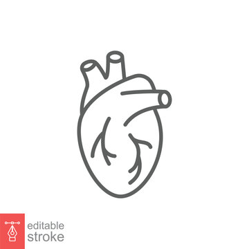 Human heart icon. Simple outline style. Internal organ, real, cardiology, cardiac anatomy, medical concept. Thin line symbol. Vector illustration isolated on white background. Editable stroke EPS 10.