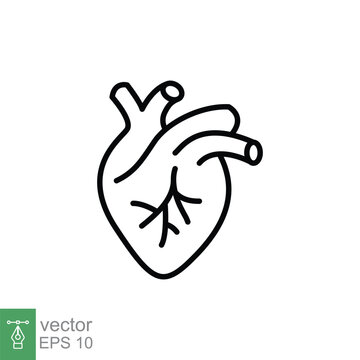 Human heart icon. Simple outline style. Internal organ, real, cardiology, cardiac anatomy, medical concept. Thin line symbol. Vector illustration isolated on white background. EPS 10.