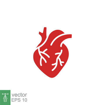 Red human heart icon. Simple solid, flat style. Internal organ, real, cardiology, cardiac anatomy, medical concept. Silhouette, glyph symbol. Vector illustration isolated on white background. EPS 10.