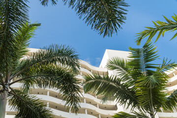 Fototapeta na wymiar Beautiful tropical cityscape with modern architecture and palm trees view looking up. 