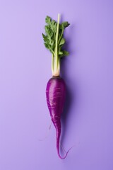 Purple carrot on purple background.