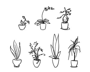 Potted plants and flowers isolated set Hand drawn illustration, Vector sketch, Houseplant flowerpot