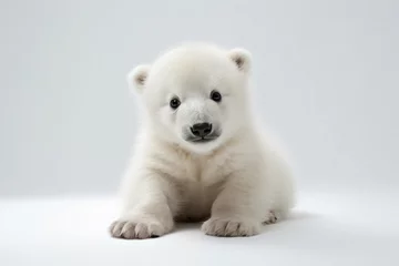 Foto op Plexiglas a small white polar bear sitting on a white surface © Nam
