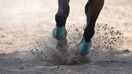 Closeup of Horse's Hooves Kicking Up Dirt