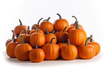 Many orange pumpkins on white