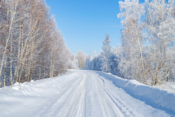 Snow-Covered Winter Country Road with Trees on the Edges