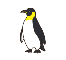 ペンギンのかわいいイラスト