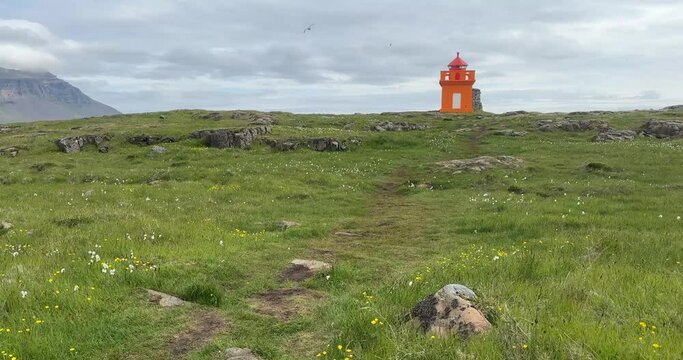 Hafnarnesviti orange lighthouse in Iceland, near Bolungarvik Osholaviti. Sheep in front of lighthouse