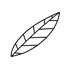 single leaf outline