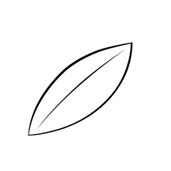 single leaf outline
