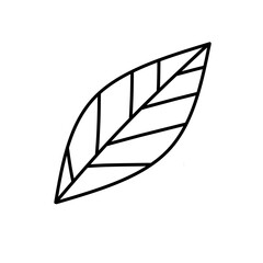 single leaf outline