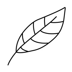 single leaf outline