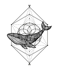 Fototapeta na wymiar Whale mandala. Vector illustration. Adult coloring page. Whale sea animal in Zen boho style. Sacred geometry, Peaceful. Tatoo print