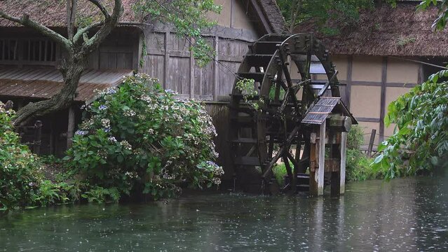 雨降る小川に回る水車。固定撮影、環境、再生エネルギーのイメージ