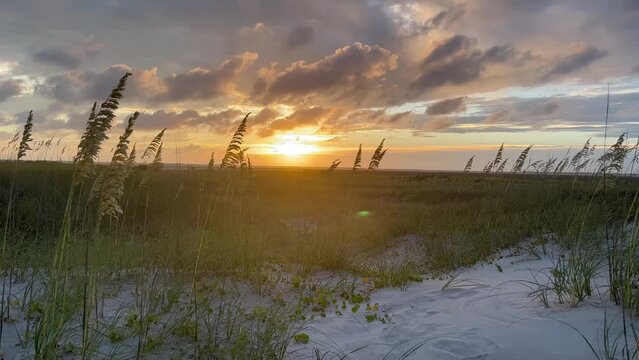 Coastal Grassland Sunset